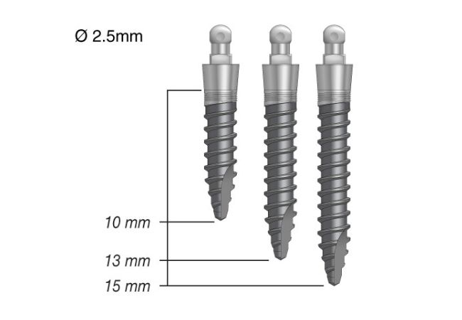 Implant