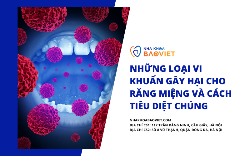 Anh Dai Dien Blog 2025 02 18T204558.562